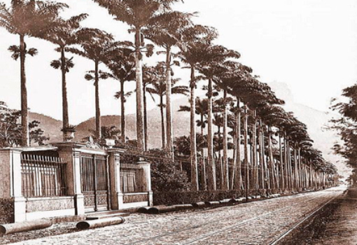Pórtico do Jardim Botânico. C. 1890. GUTIERREZ, Acervo: MHN